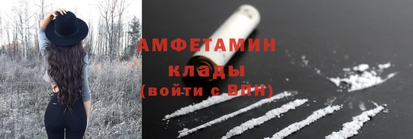 сатива Алзамай