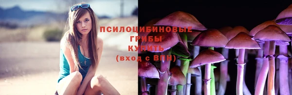 гашик Абдулино
