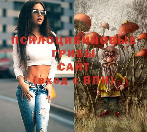 гашик Абдулино